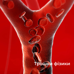 Капіляри, кровопостачання зорового нерва, фізика, біологічна гідродинаміку