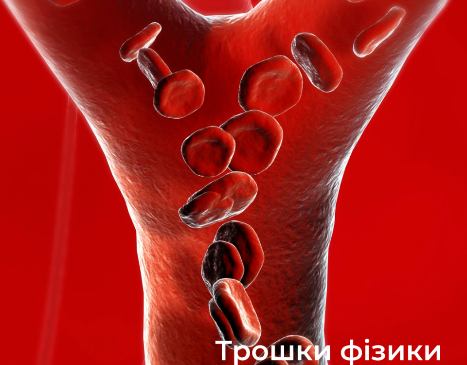 Капіляри, кровопостачання зорового нерва, фізика, біологічна гідродинаміку